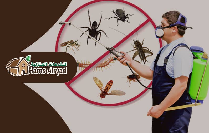 مكافحة الحشرات والقوارض